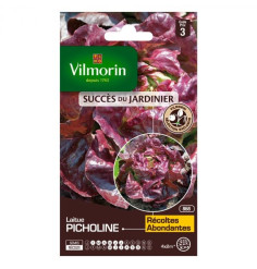 Picholine lettuce seed packet