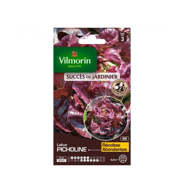 Picholine lettuce seed packet