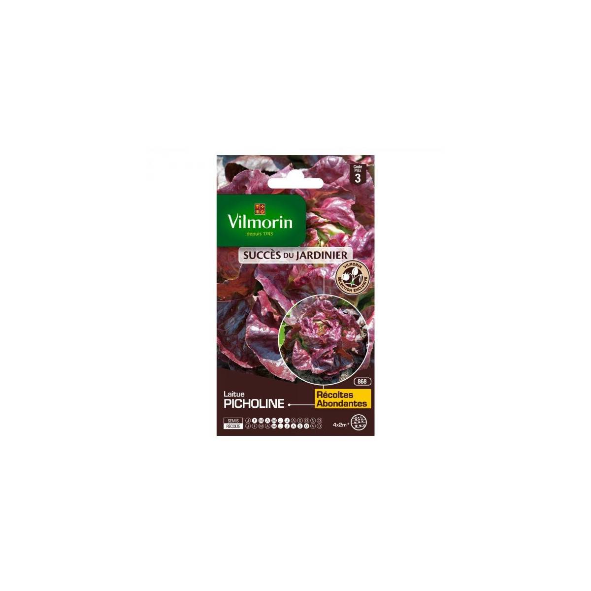 Picholine lettuce seed packet