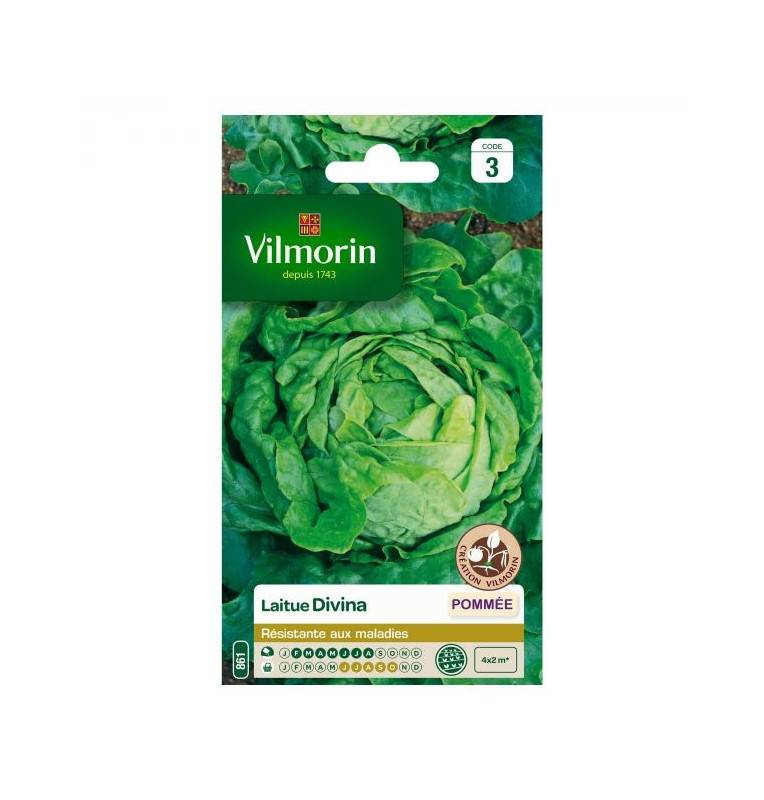 Seed packet Divina lettuce