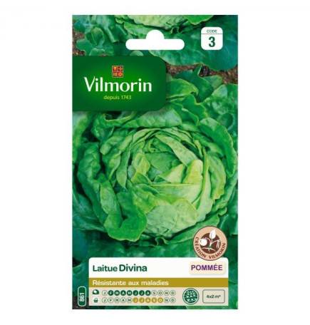 Seed packet Divina lettuce