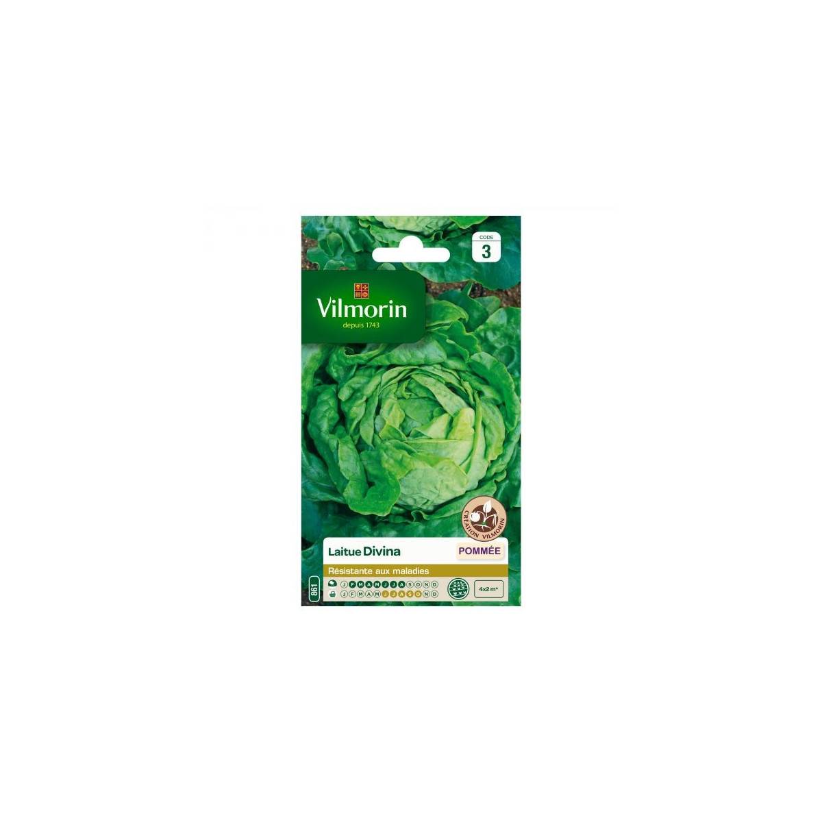 Seed packet Divina lettuce