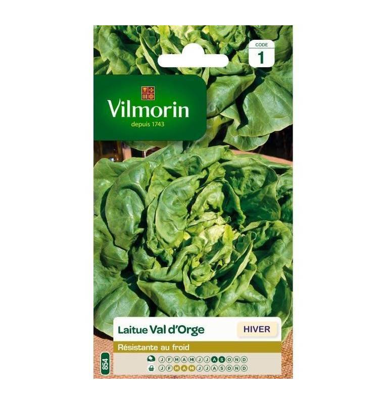 Sachet graines Laitue Val d'Orge