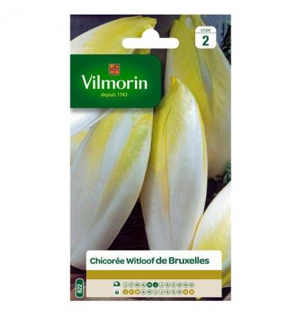 Bag seeds Chicory Witloof Platinum