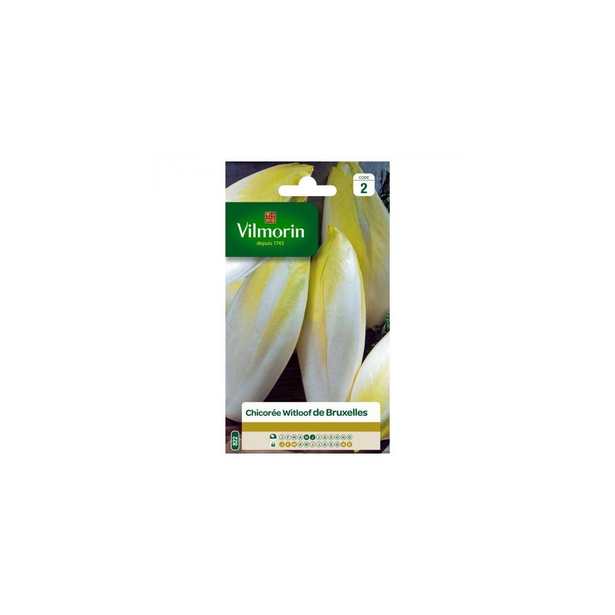 Sachet graines Chicorée Witloof Platine