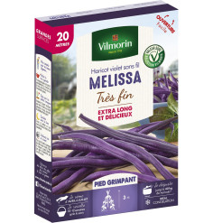 Purple violet bean Melissa very fine 20 meters