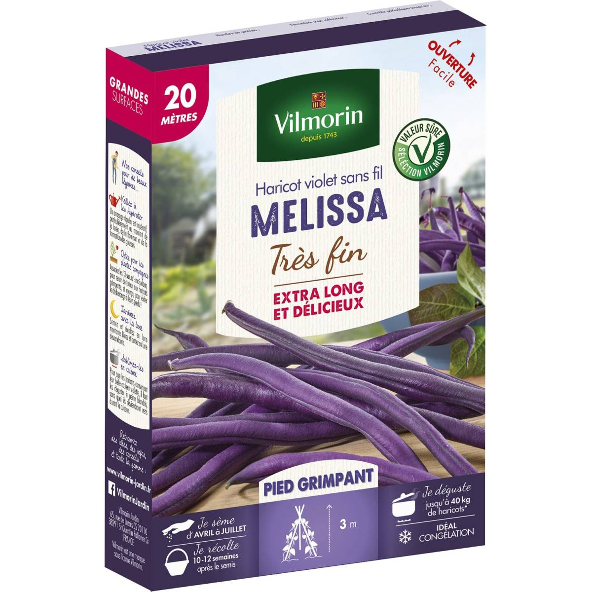 Purple violet bean Melissa very fine 20 meters