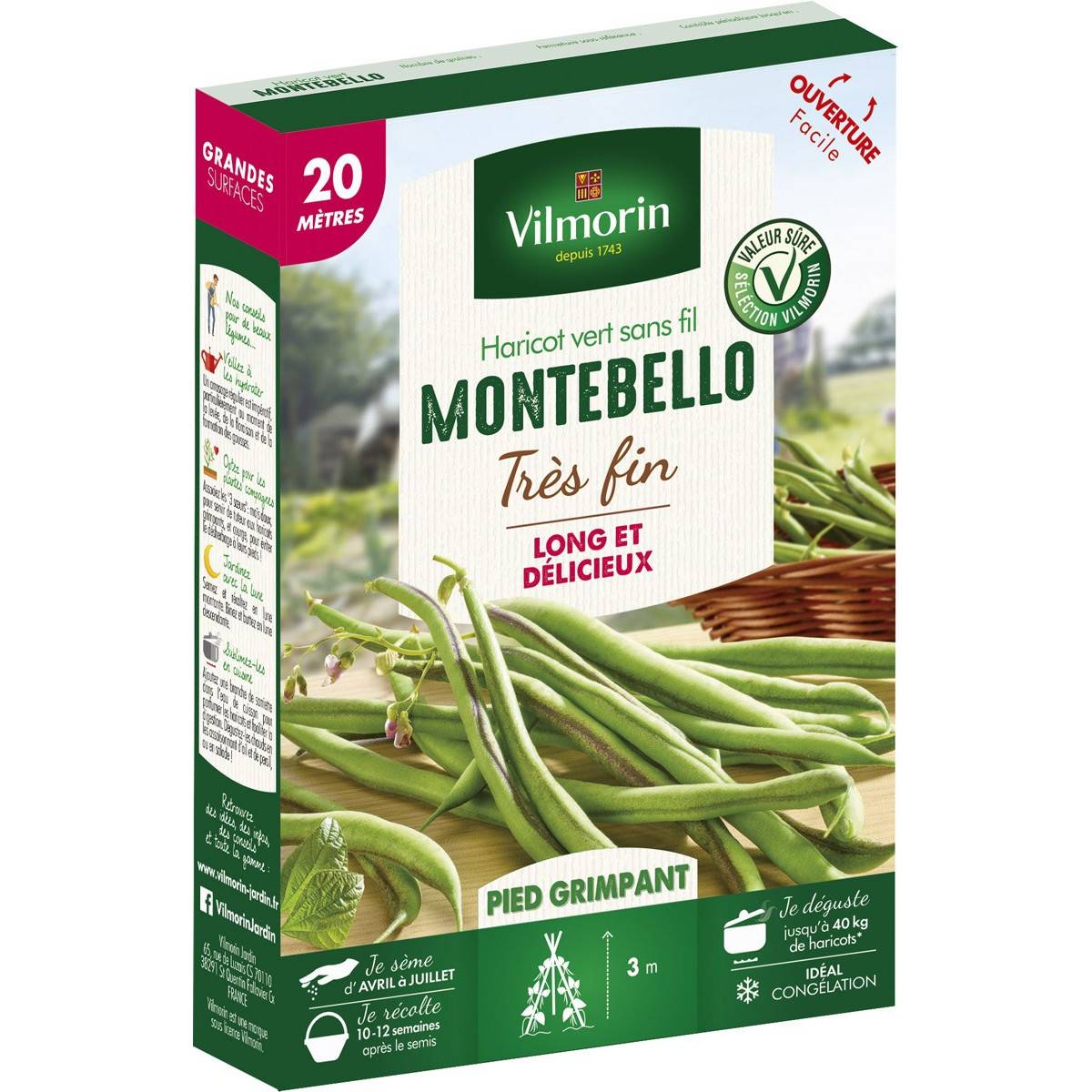 Haricot vert sans fil Montebello très fin - 20 mètres - Vilmorin