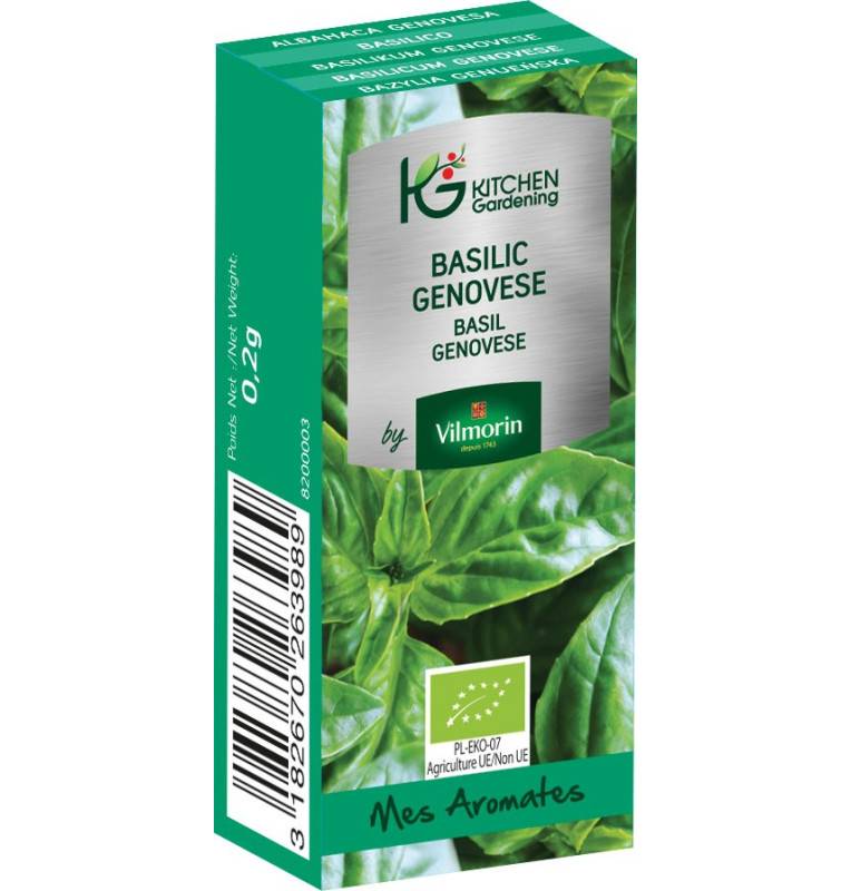 Kitchen Gardening - Basil Genovese BIO