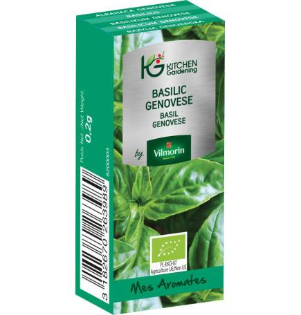 Kitchen Gardening - Basil Genovese BIO