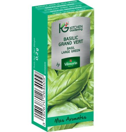 Kitchen Gardening - Basililc grand vert