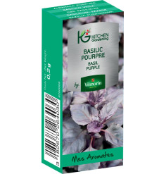 Kitchen Gardening - Basilic Pourpre