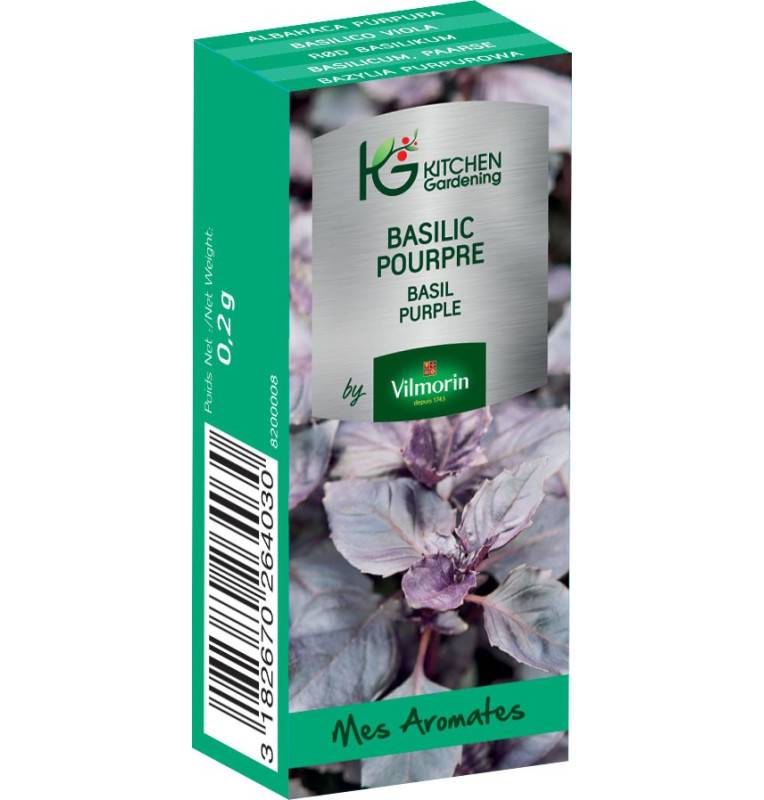 Kitchen Gardening - Basilic Pourpre