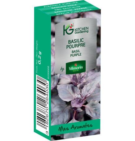 Kitchen Gardening - Basilic Pourpre