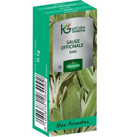 Kitchen Gardening - Sauge Officinale