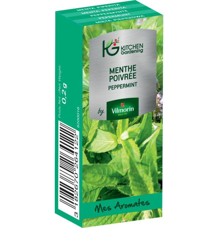 Kitchen Gardening - Menthe Poivrée