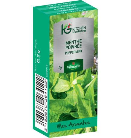 Kitchen Gardening - Menthe Poivrée