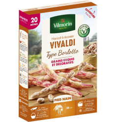 Vivaldi 20m Borlotto shelling beans - Phaseolus Vulgaris