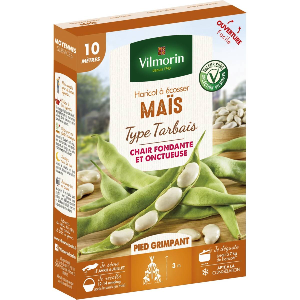 Maize shelling bean - 10 meters - vilmorin