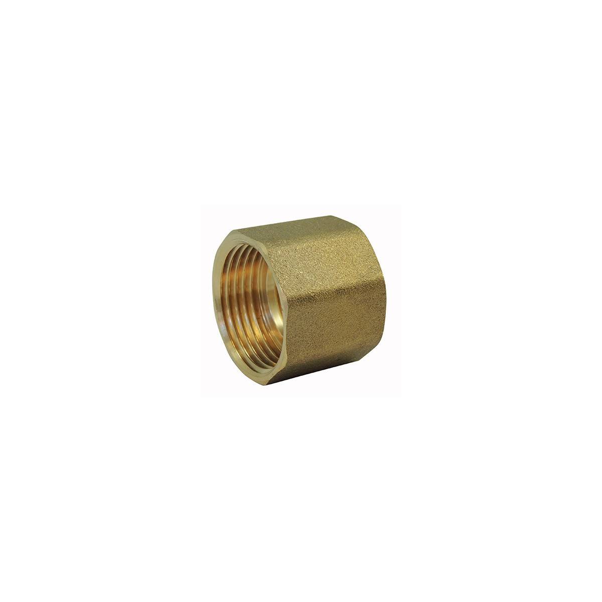 Brass fitting: Threaded female / female sleeve with brass center stop