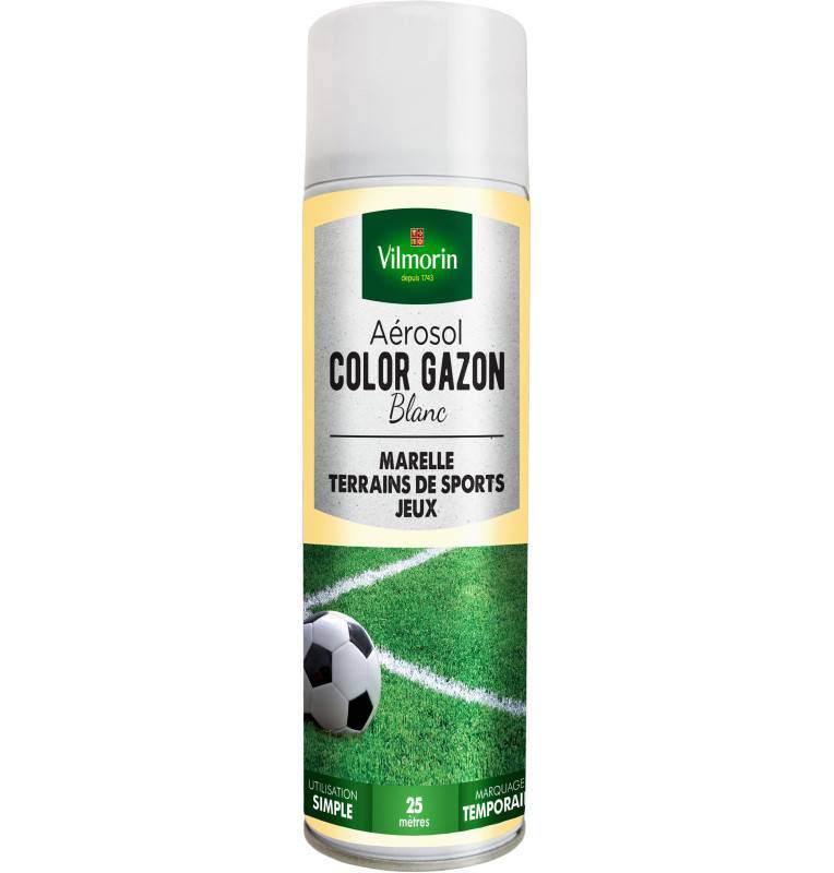 Aérosol COLOR GAZON blanc 300 ml