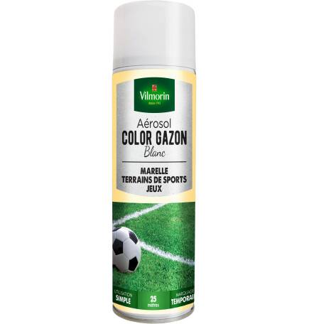 Aérosol COLOR GAZON blanc 300 ml