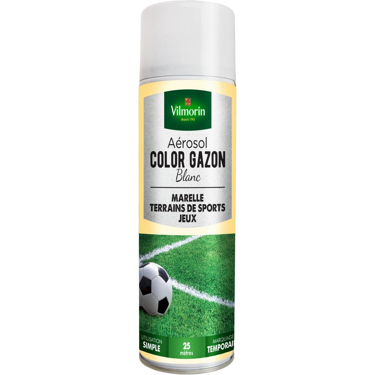 COLOR LAWN Aerosol white 300 ml