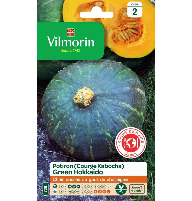 Sachet graines Potiron ( courge Kabocha ) Green Hokkaido