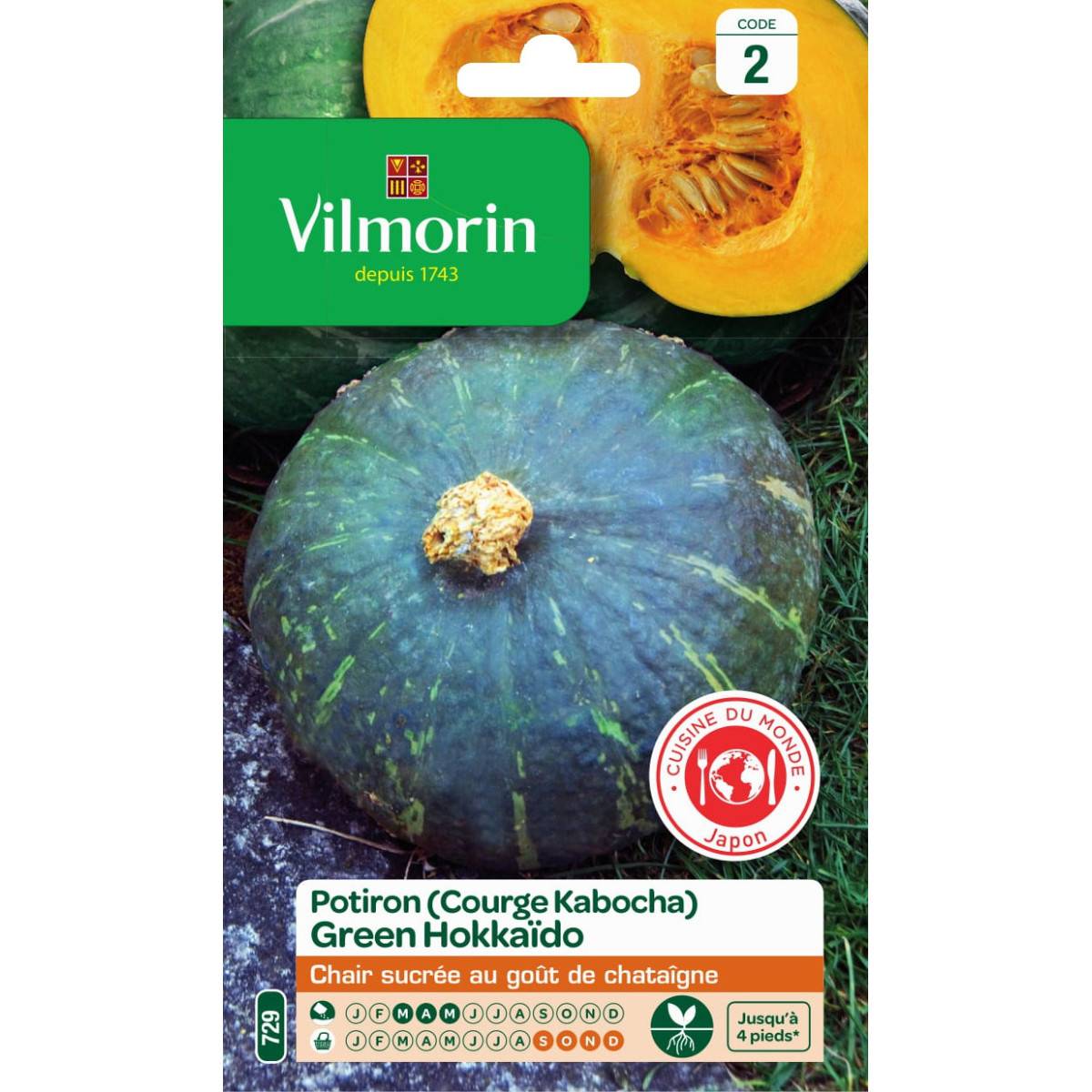 Sachet graines Potiron ( courge Kabocha ) Green Hokkaido