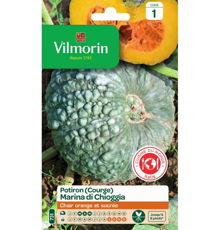 Sachet graines Courge Marina di Chioggia