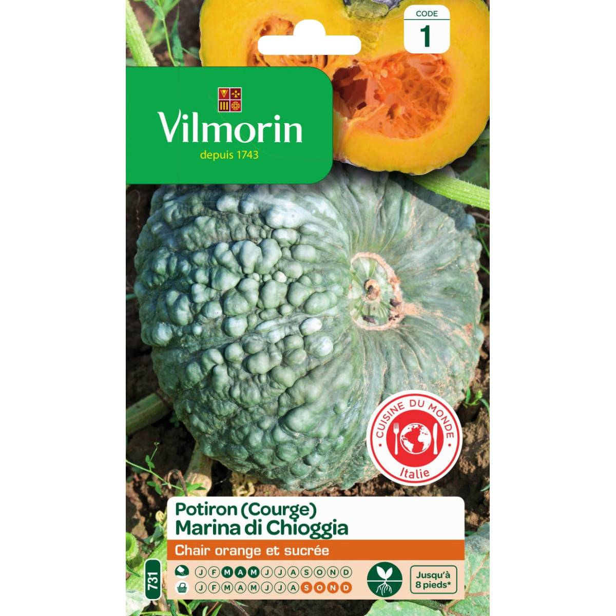 Sachet graines Courge Marina di Chioggia