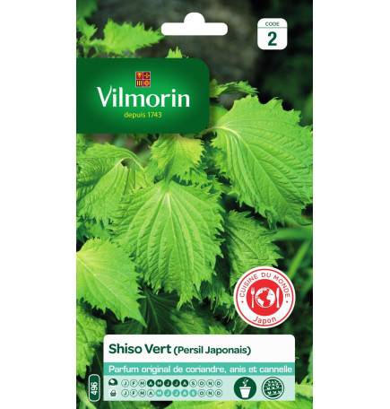 Sachet graines Shiso Vert ( persil japonais )