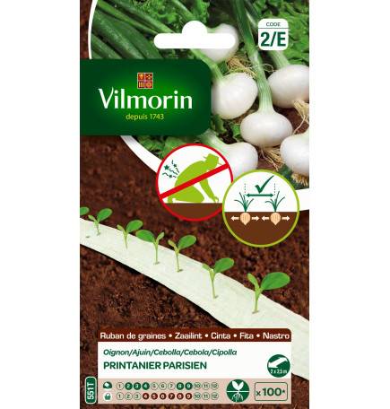 Spring onion seed ribbon Parisian HF1 5m