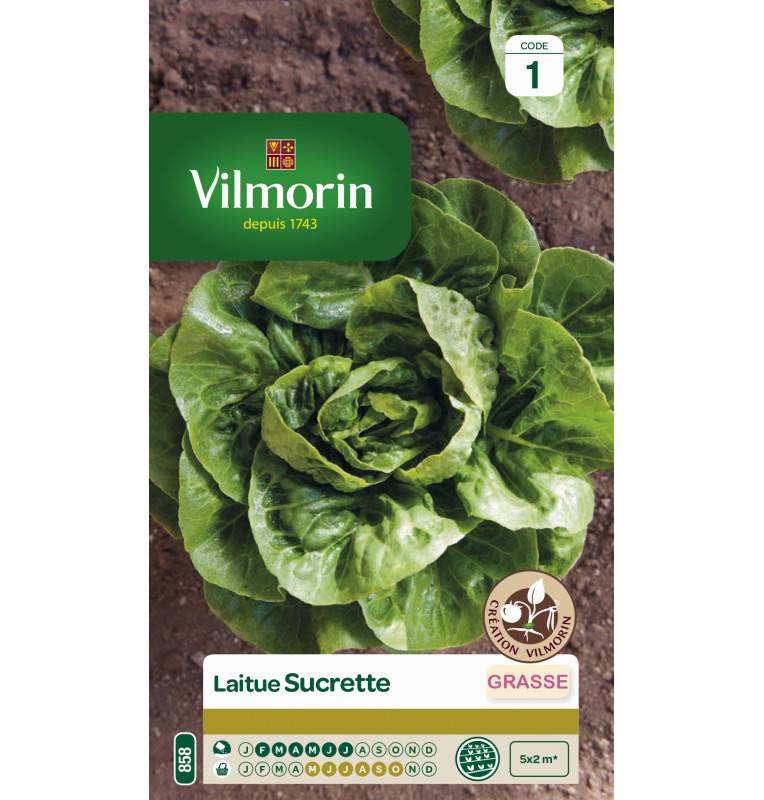 Bag seeds Lettuce Sucrette