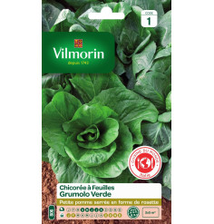 Sachet graines Chicorée à feuilles Grumolo Verde