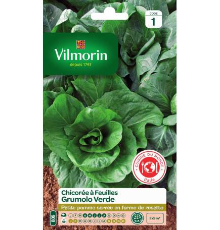 Sachet graines Chicorée à feuilles Grumolo Verde