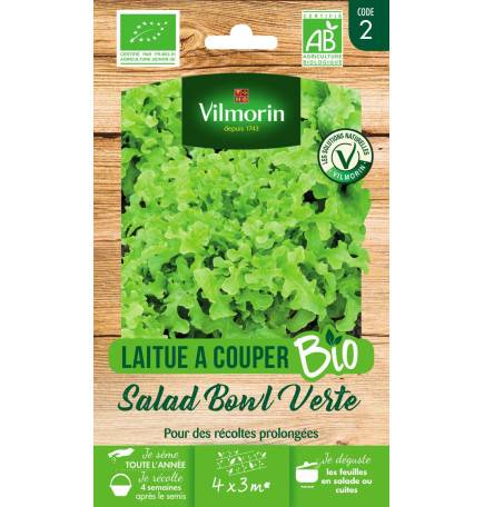 Bag seeds Lettuce to cut Salad Bowl green BIO