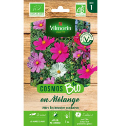 Sachet graines Cosmos en mélange BIO - Cosmos bipinnatus