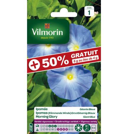 sachet graines Ipomée Géante bleue +50% Gratuit - Ipomoea tricolor