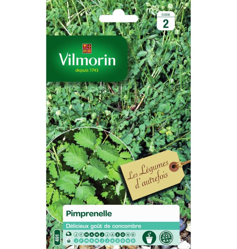 Sachet graines Pimprenelle - Sanguisorba minor