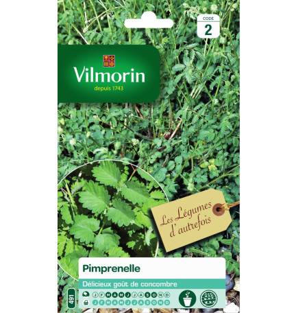 Sachet graines Pimprenelle - Sanguisorba minor