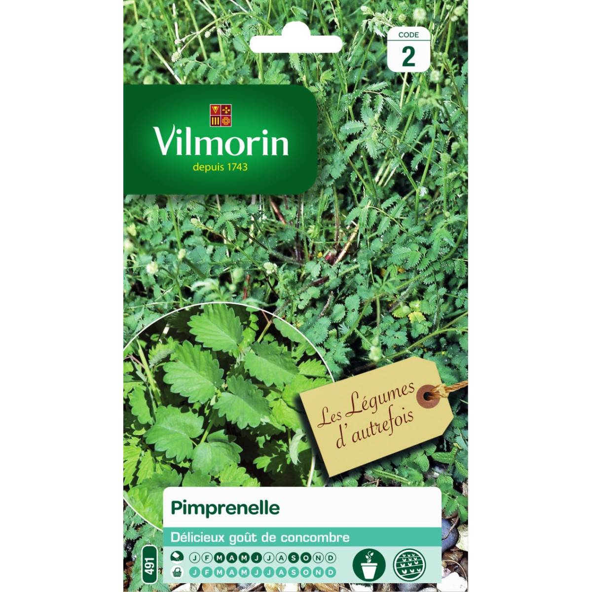 Sachet graines Pimprenelle - Sanguisorba minor