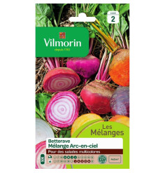 Sachet graines Betterave Arc en ciel - Beta vulgaris