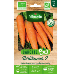 Sachet graines Carotte Berlikum 2 BIO - Daucus carota