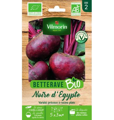 Black Beet Seed Sachet of Egypt BIO - Beta vulgaris