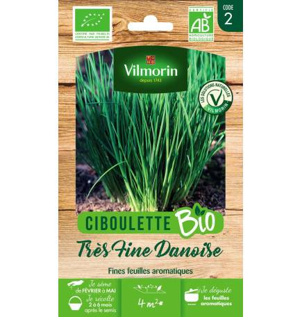 Sachet graines Ciboulette très fine danoise BIO - Allium schoenoprasum