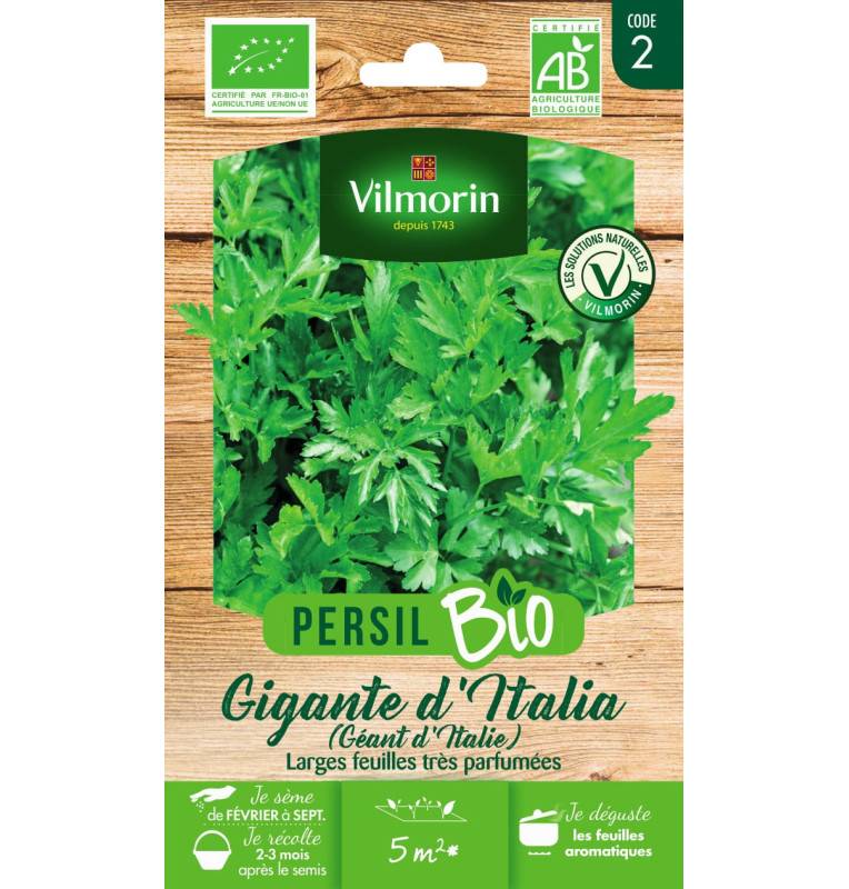 Italian Giant Parsley Seed Bag ORGANIC - Petroselinum sativum