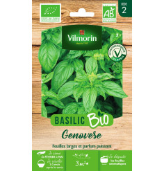 Sachet graines Basilic Genovese BIO - Ocimum basilicum