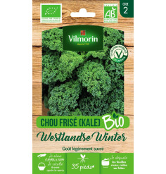 Sachet graines Chou Frisé ( KALE ) Westlandse Winter BIO - Brassica oleracea var. sabellica