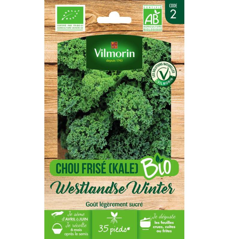 Kale Seed Sachet (KALE) Westlandse Winter ORGANIC - Brassica oleracea var. sabellica